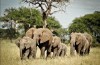 Tarangire National Park