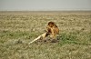 Serengeti National Park