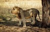 Tarangire National Park