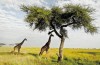 Serengeti National Park