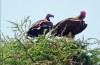Serengeti National Park