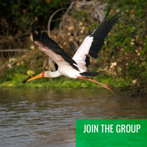 ПРИСОЕДИНЯЙТЕСЬ К ГРУППЕ - Сафари из Занзибара - Однодневная поездка в Селус 