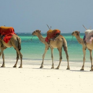 Солнце и Песок - Кения - 10 Дней