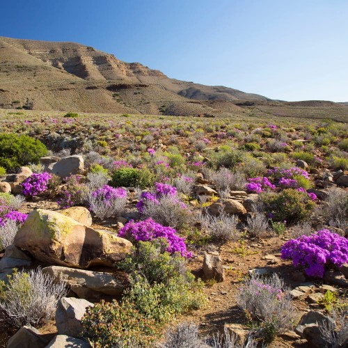 Tankwa Karoo National Park