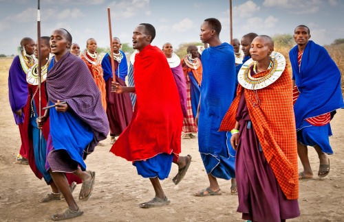 Общая информация