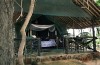 Pattersons Safari Camp