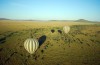 Balloon Safari