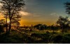 Angata Camp Serengeti