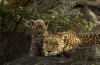 Serengeti National Park