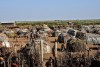 Seven Day Southern Ethiopia Cultural Tour 