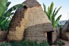 Seven Day Southern Ethiopia Cultural Tour 