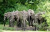 Lake Manyara National Park