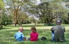 Siana Springs Intrepids