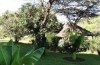 Ol Moran Tented Camp