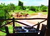Voi Safari Lodge