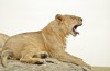 Serengeti National Park