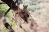 Lake Manyara National Park