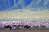 Ngorongoro Crater