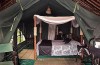 Pattersons Safari Camp