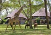 Lake Naivasha Sopa Lodge
