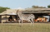 Singita Sabora Tented Camp