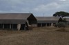 Serengeti National Park Savannah Camps -safari to africa accommodation