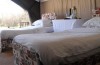 Serengeti National Park Savannah Camps -safari to africa accommodation