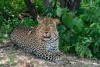 Tsavo West National Park