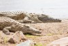 Tsavo East National Park