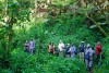 Bwindi Impenetrable National Park