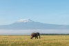 Amboseli National Park