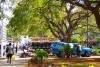 Pedestrians and flower-sellers in Africa Unity Square, Harare