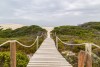 Boardwalk leading to the famous sand dunes of De Hoop Nature Reserve