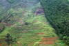Bwindi Impenetrable National Park