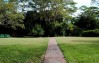 Siana Springs Intrepids