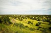 Tarangire National Park