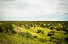 Tarangire National Park