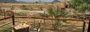 Ashnil Samburu Camp