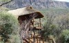 Leopard Lodge