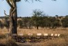 Angata Camp Serengeti