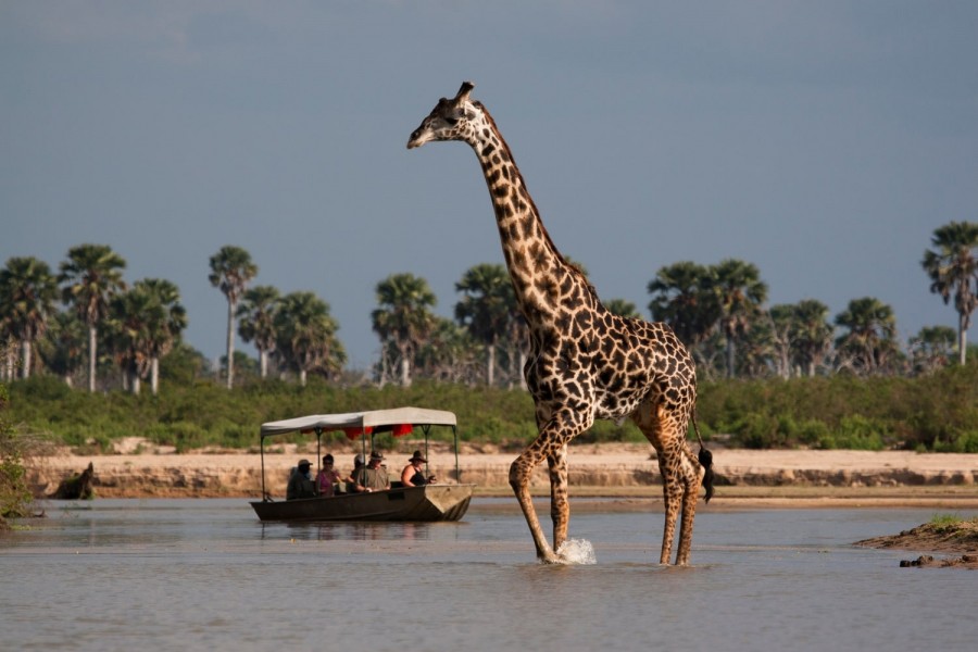 JOIN THE GROUP - Safari from Zanzibar - Selous Day Trip