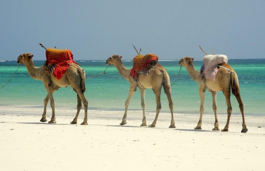 Mombasa