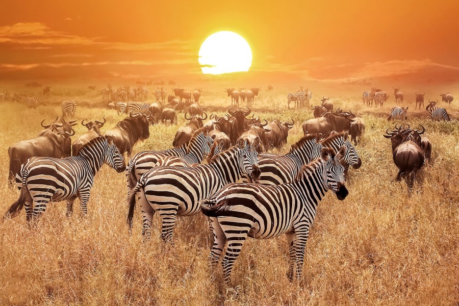 Serengeti National Park