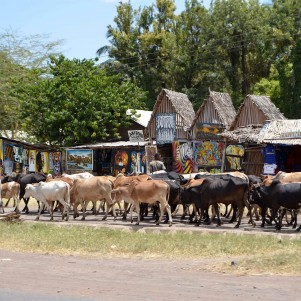 Mto Wa Mbu village walk
