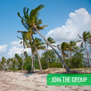 JOIN THE GROUP - Safari from Zanzibar - Saadani National Park - Day Trip