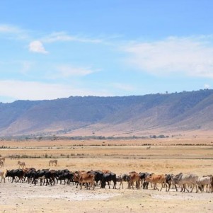 De Olmoti Crater - Ngorongoro Crater Highlands
