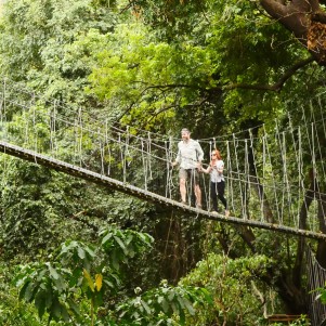 Treetop Walk