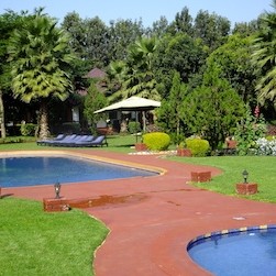 Bougainvillea Safari Lodge