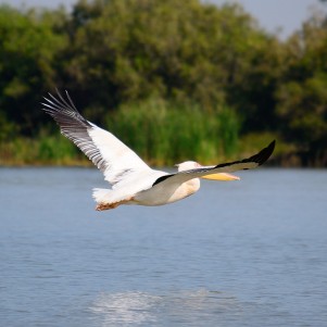 Lake Tana & Bahir Dar