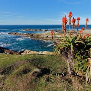 Eleven Day Best of South Africa Self-Drive Safari